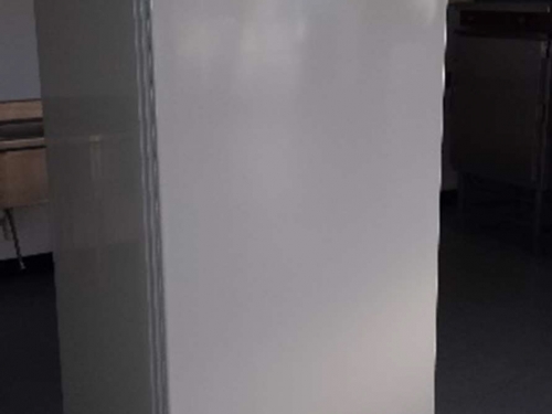 Armoire froide négative 590L